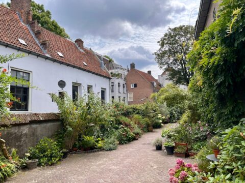foto Hanny de Jongh Binnenstad Nijmegen met veel groen