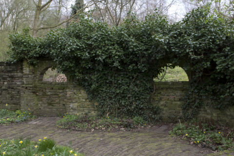 Nijmegen Natuurtuin Goffert foto Gabriel Zwart