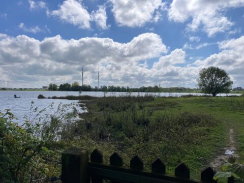 Uitzicht op een rivier met windmolens in de verte, omgeven door grasland en een enkele boom.