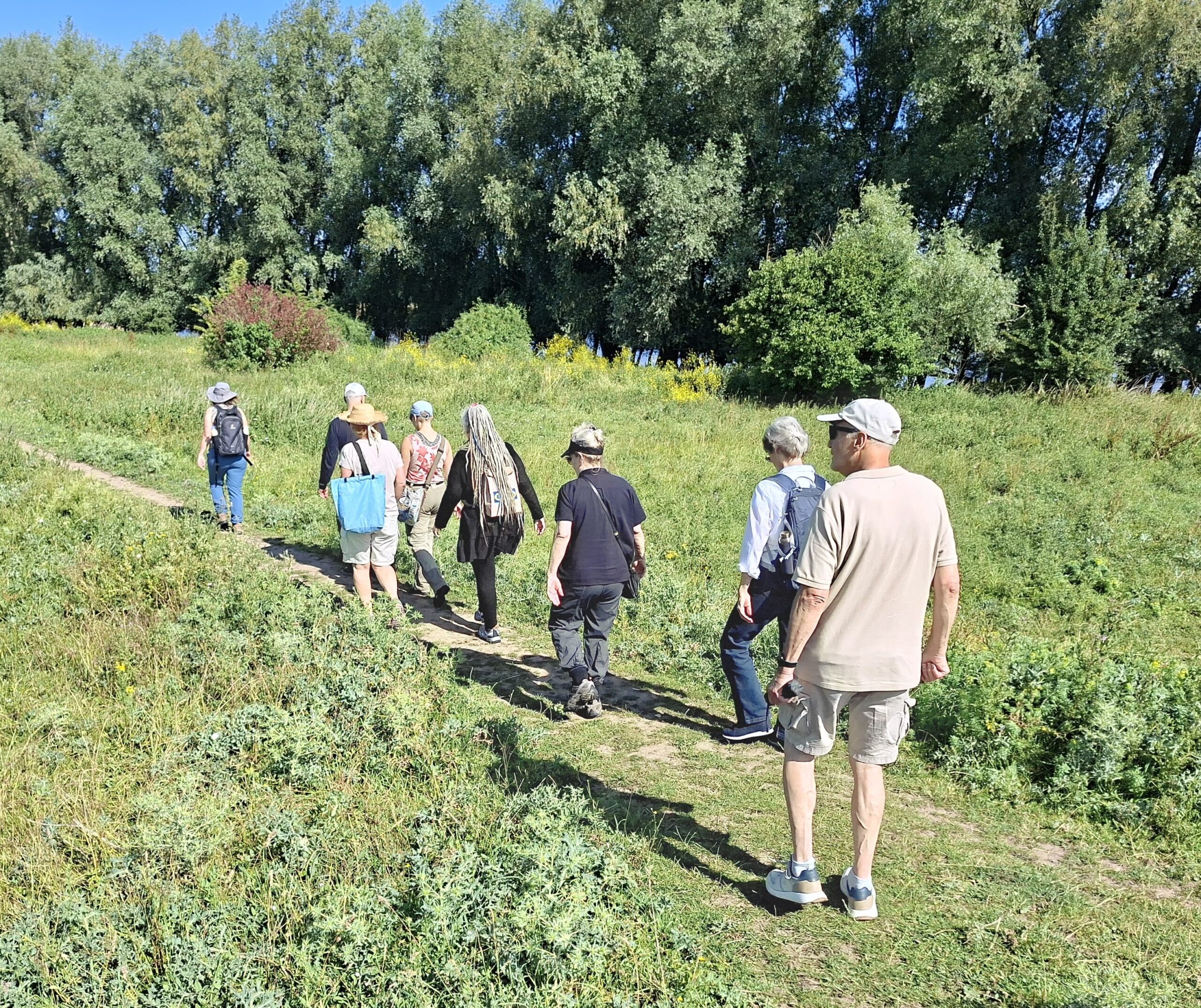 Groep mensen wandelt op een smal pad door een groene, bosrijke omgeving op een zonnige dag.