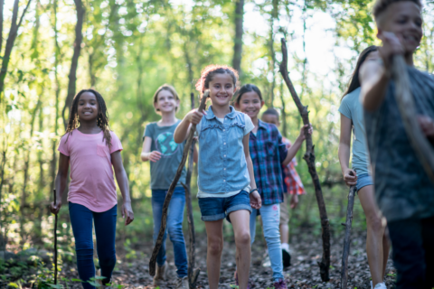 Kinderen wandelen door een zonnig bos met wandelstokken in hun handen.