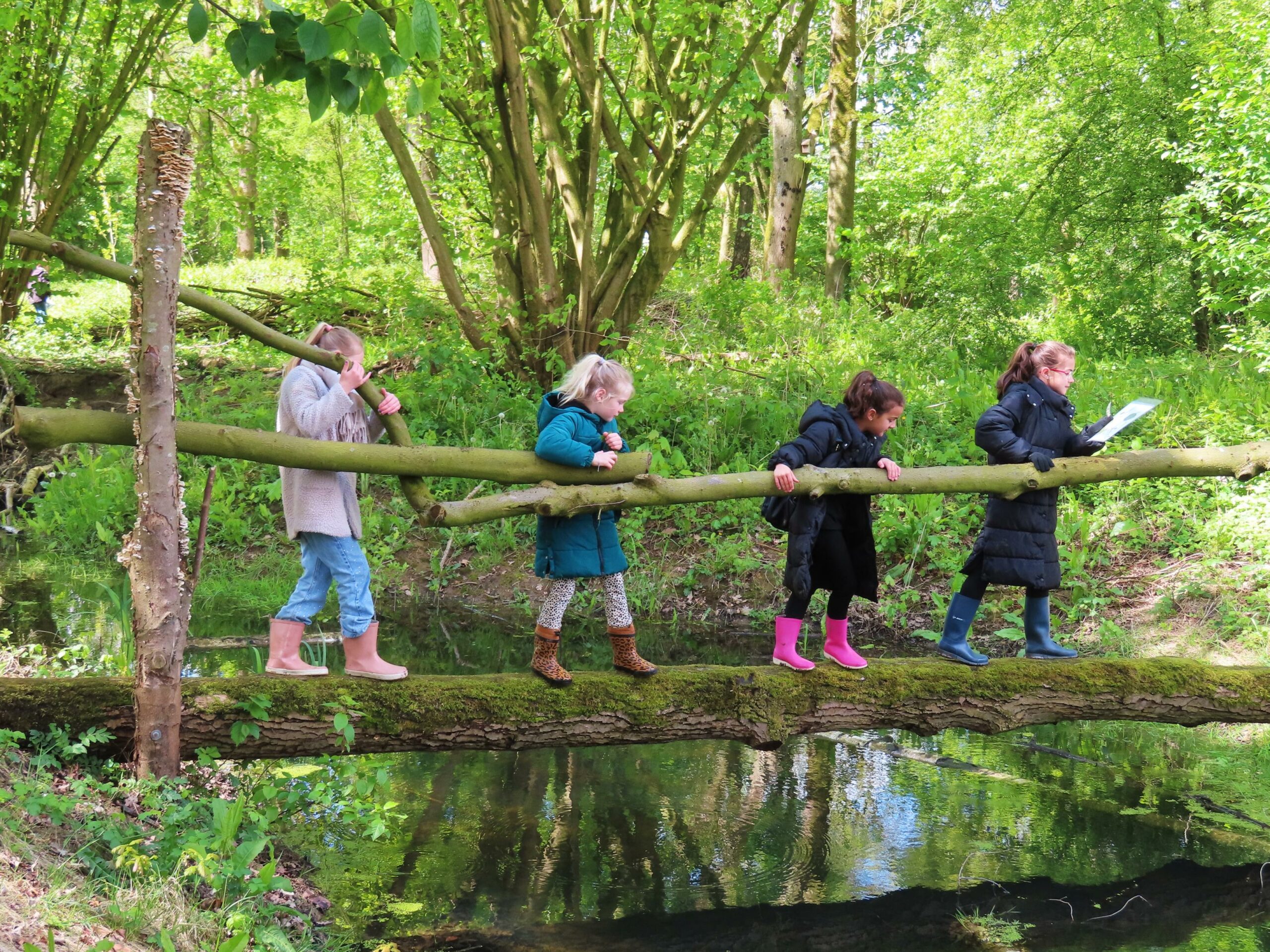 Vier kinderen lopen over een smalle houten loopbrug in een bosrijke omgeving.