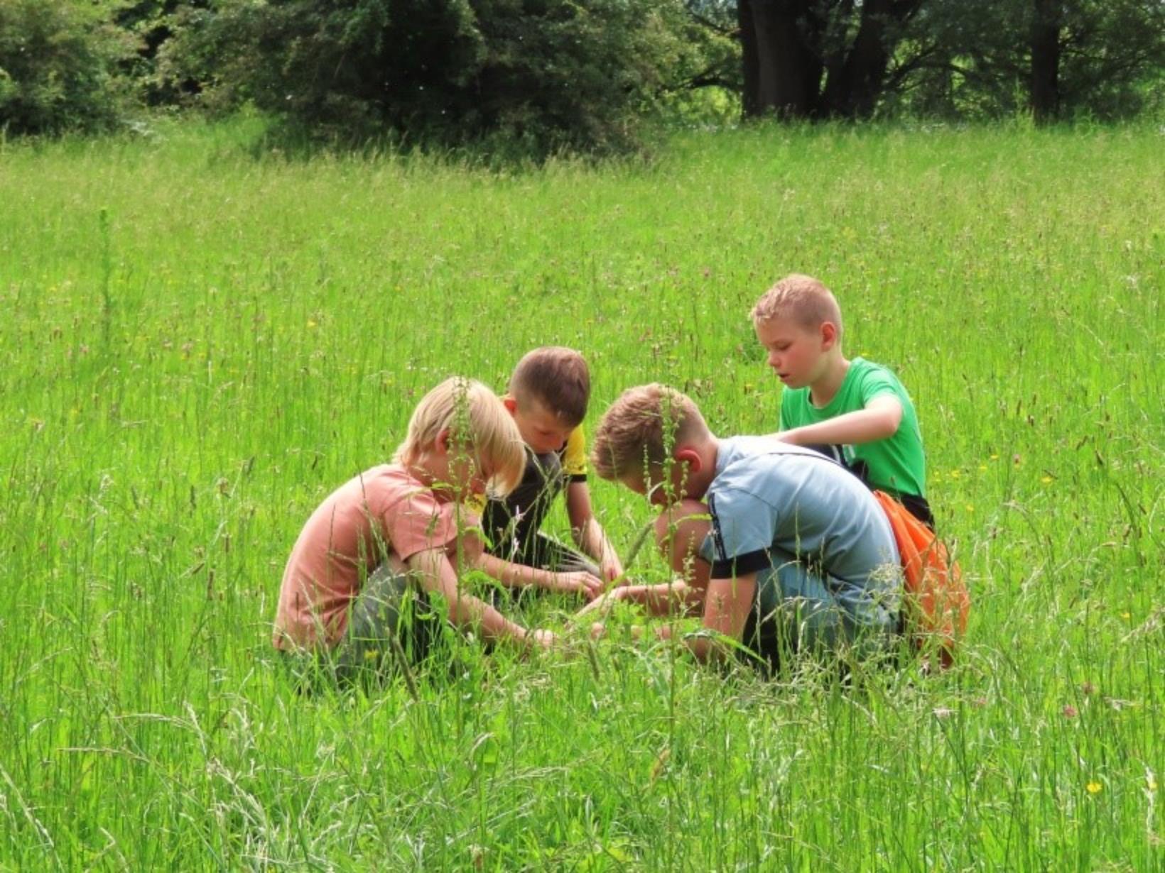 Vier kinderen spelen samen in een groen grasveld op een zonnige dag.