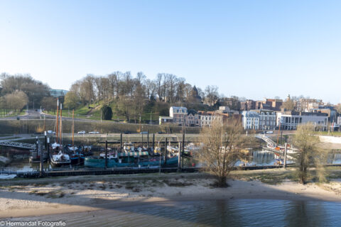 Stadshaven met boten, bomen op heuvel; historische gebouwen op de achtergrond.