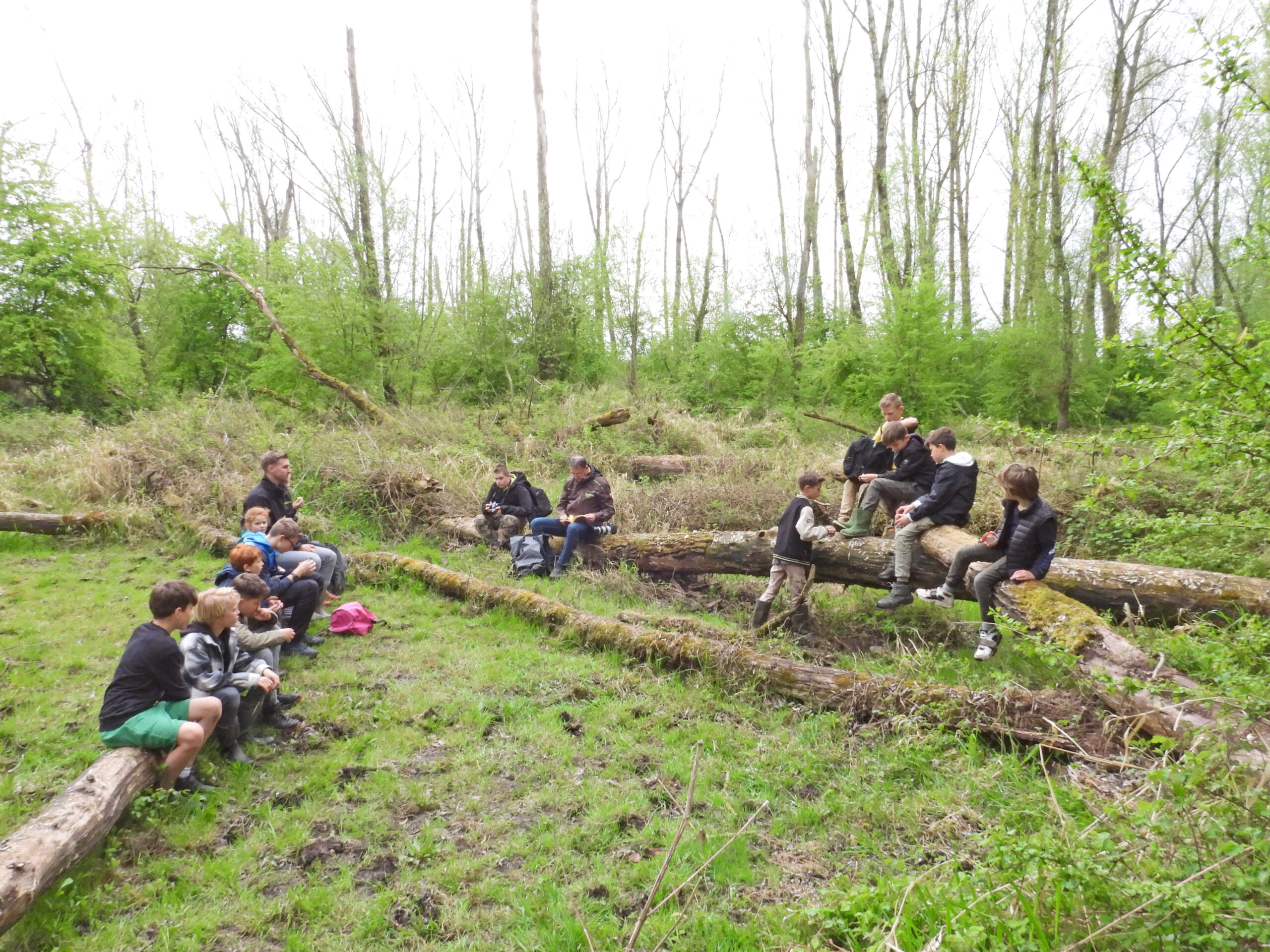 Groep kinderen en volwassenen zit op boomstammen in een groen bos. Ze lijken in gesprek.
