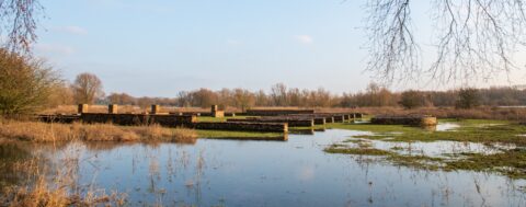 Overstroomd natuurgebied met stenen funderingen en bomen op de achtergrond in een open landschap.