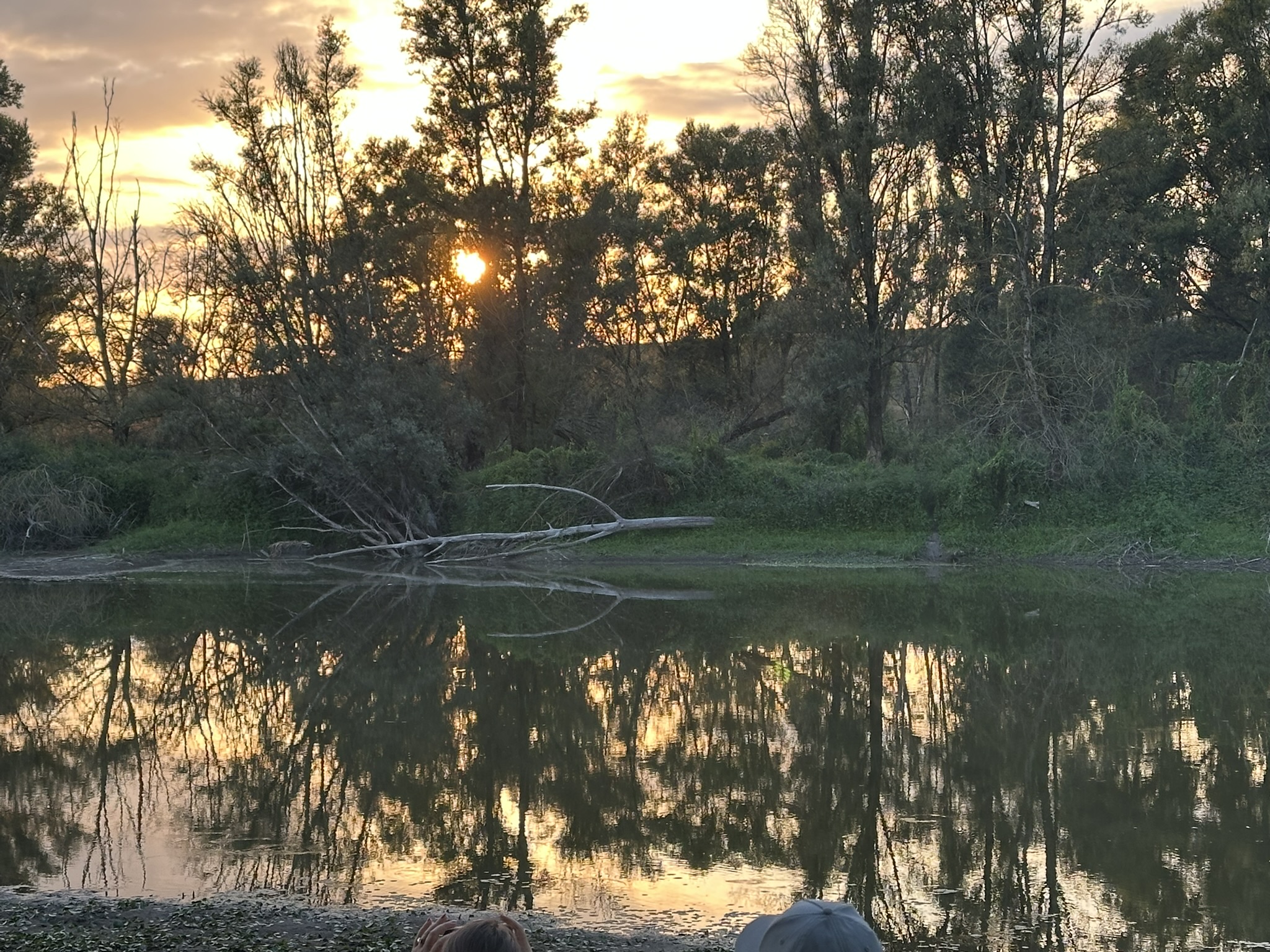 Zonsondergang achter bomen, weerspiegeld in een rustige rivier.