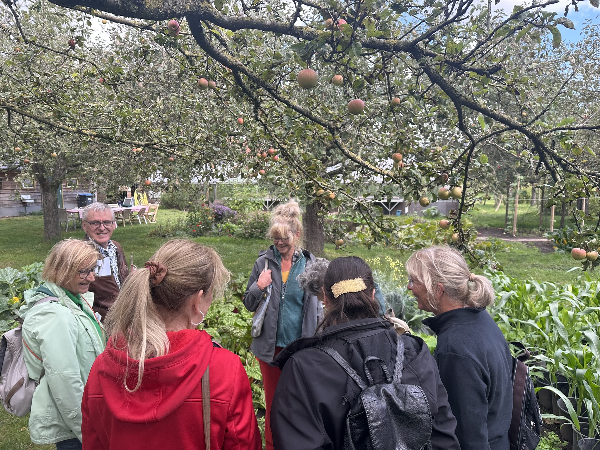 Groep mensen in een boomgaard met appelbomen, pratend onder een bewolkte hemel.