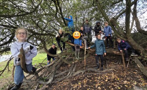 Groep kinderen speelt in een grote boom in een bosrijke omgeving.