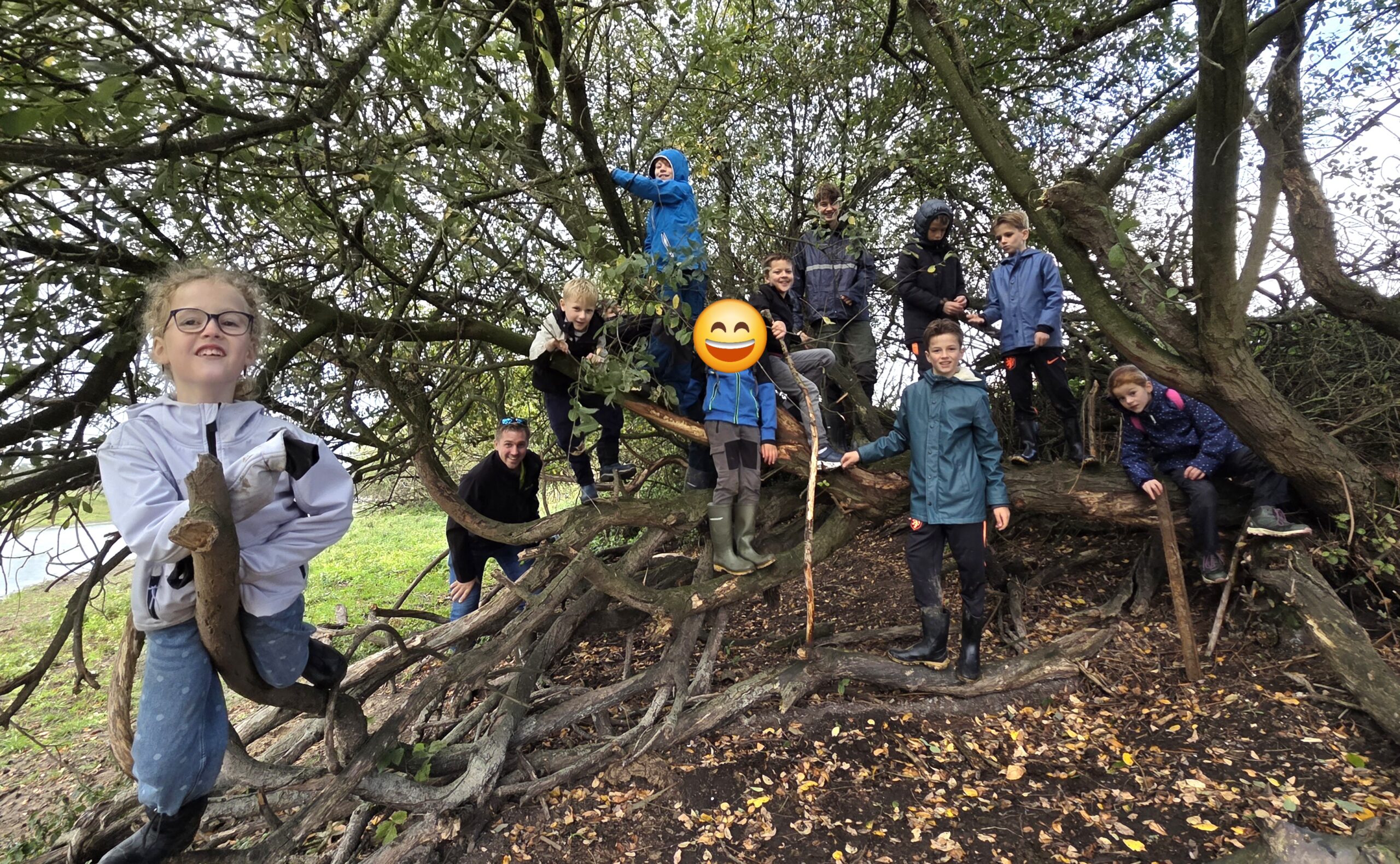 Groep kinderen speelt in een grote boom in een bosrijke omgeving.