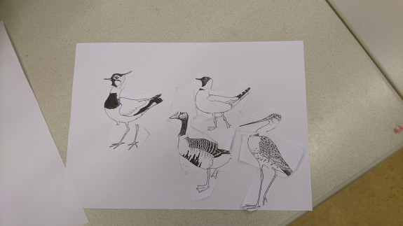 weidevogelles