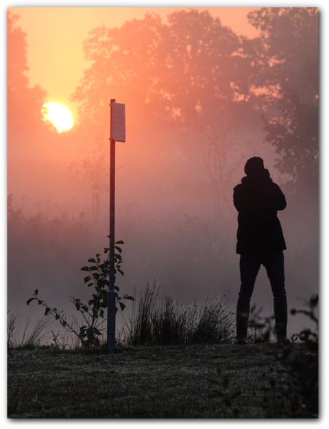 Persoon fotografeert een mistige zonsopgang bij een meer met silhouet van bomen en een bord op de voorgrond.