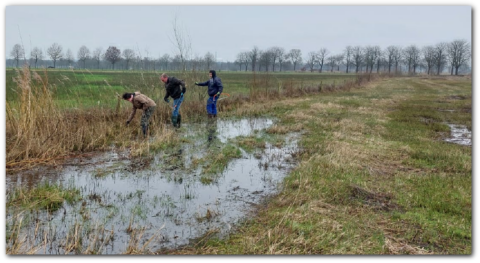 Drie mensen werken in een nat en grasrijk veld bij een sloot onder een grijze hemel.