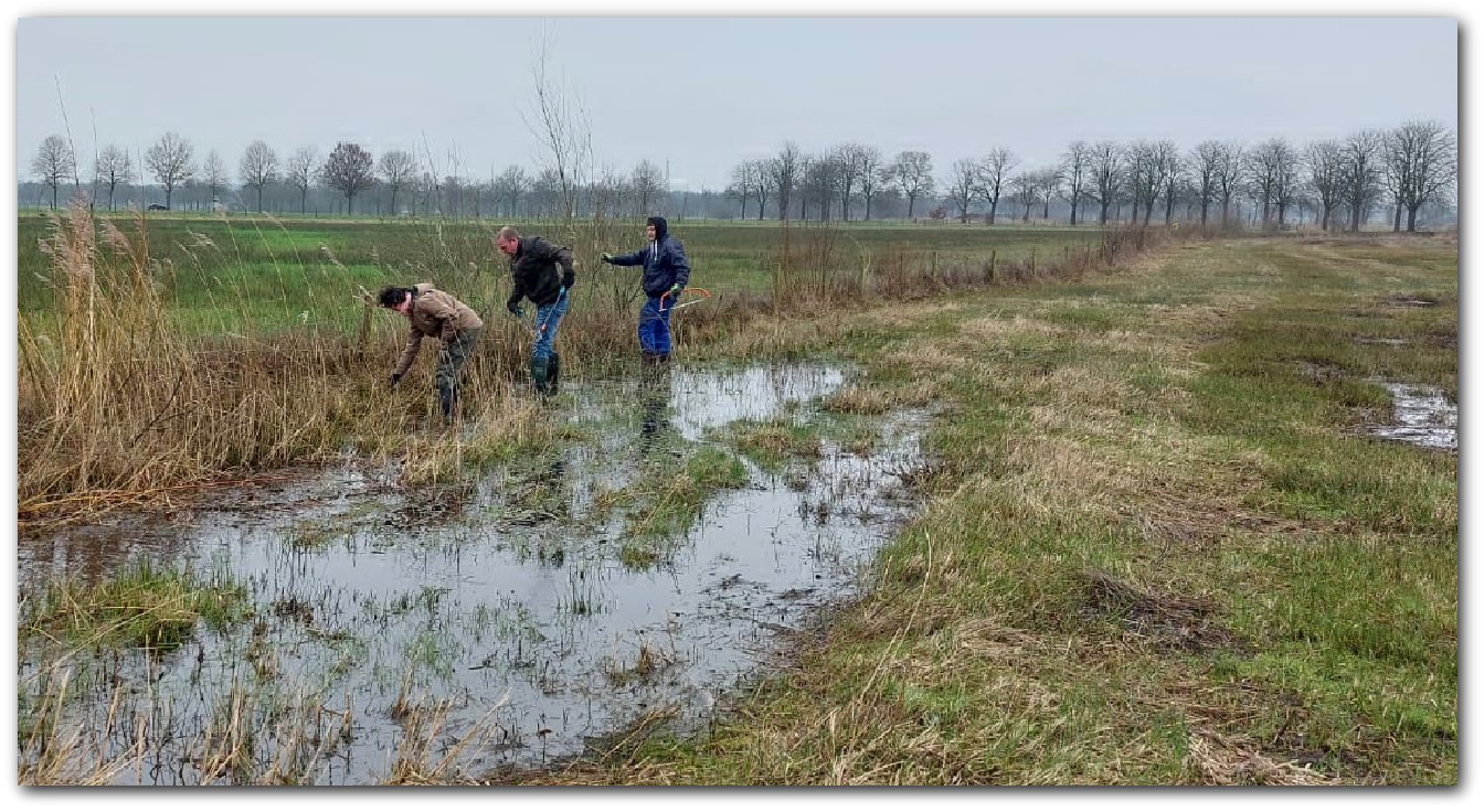 Drie mensen werken in een nat en grasrijk veld bij een sloot onder een grijze hemel.