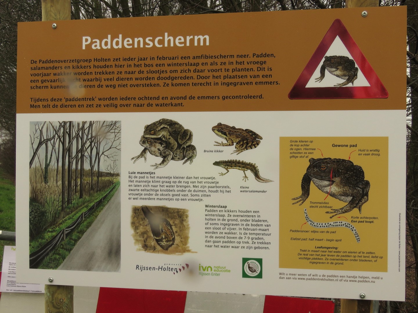 Bord met uitleg over paddenschermen, afbeeldingen van padden en kikkers, en verkeersbord voor overstekende padden.