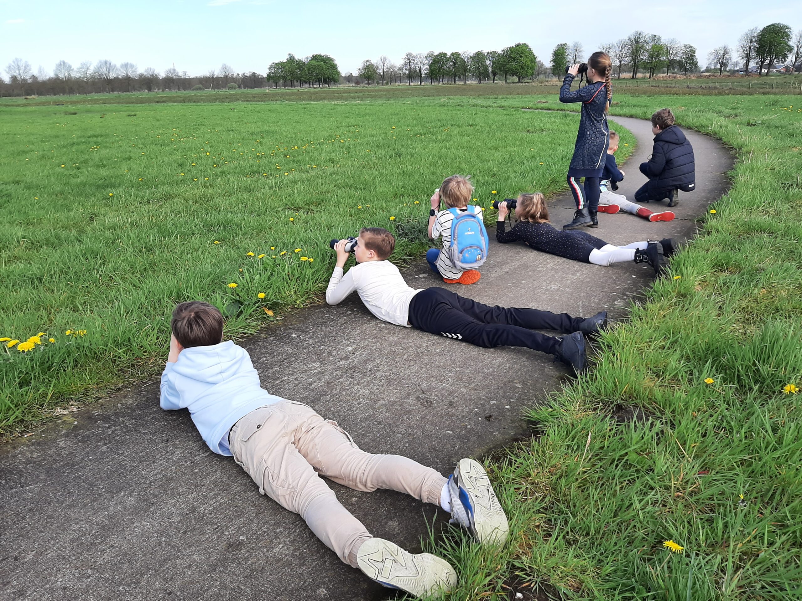 Kinderen liggen en staan met verrekijkers op een pad in een groen weiland.