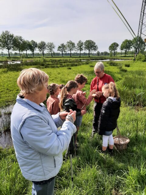 Een groep mensen onderzoekt iets in een groen veld met bomen op de achtergrond.