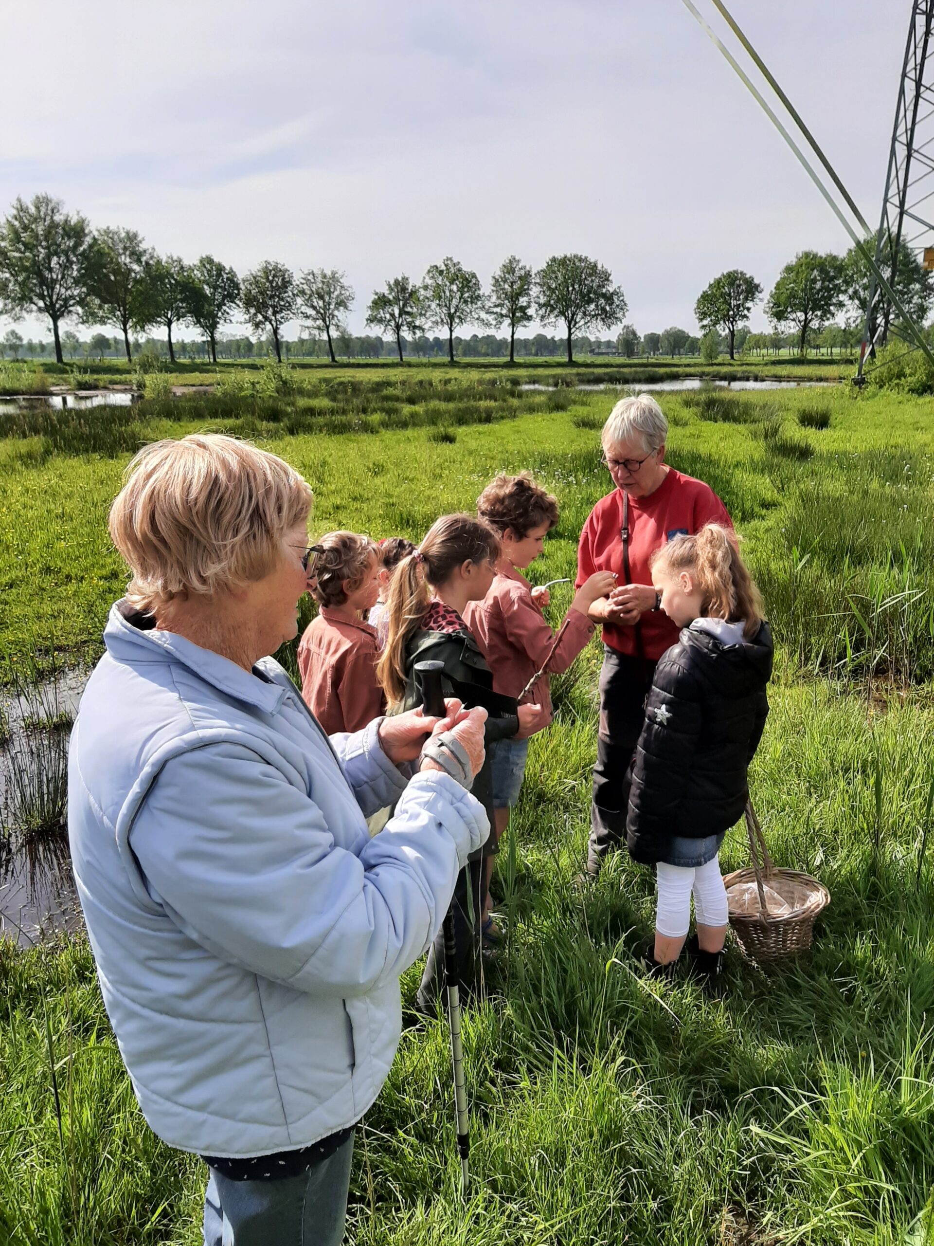 Een groep mensen onderzoekt iets in een groen veld met bomen op de achtergrond.