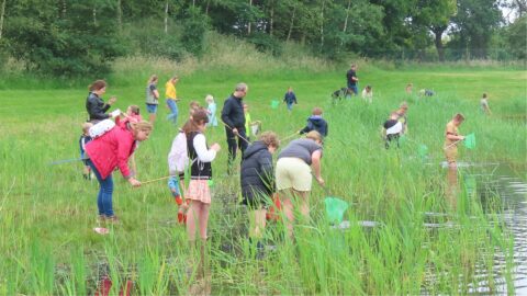 Groep kinderen en volwassenen onderzoekt een vijver met schepnetten in een groene, bosrijke omgeving.