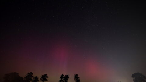 Sterrenhemel met groen en roze poollicht boven silhouetten van bomen.