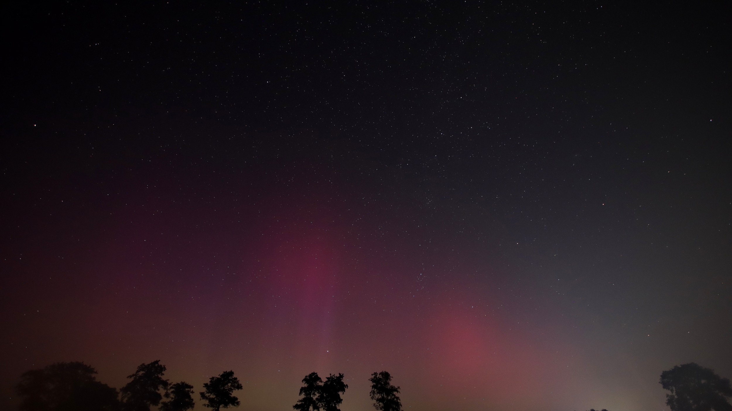 Sterrenhemel met groen en roze poollicht boven silhouetten van bomen.