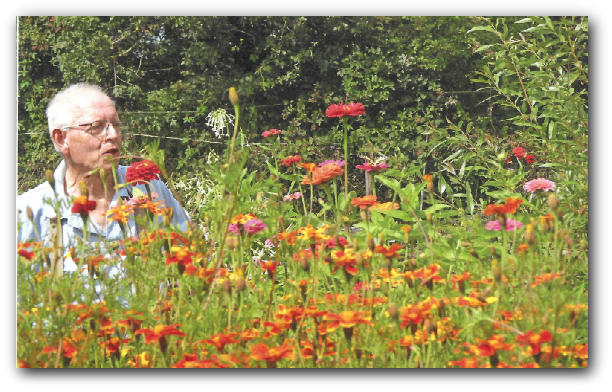 Een oudere man staat in een tuin vol kleurrijke bloemen.