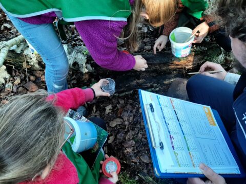 Kinderen onderzoeken hout in het bos met potjes en een clipbord met formulier.