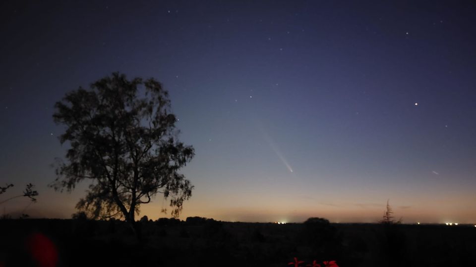 Boomsilhouet tegen schemerlucht met zichtbare komeet en sterren.