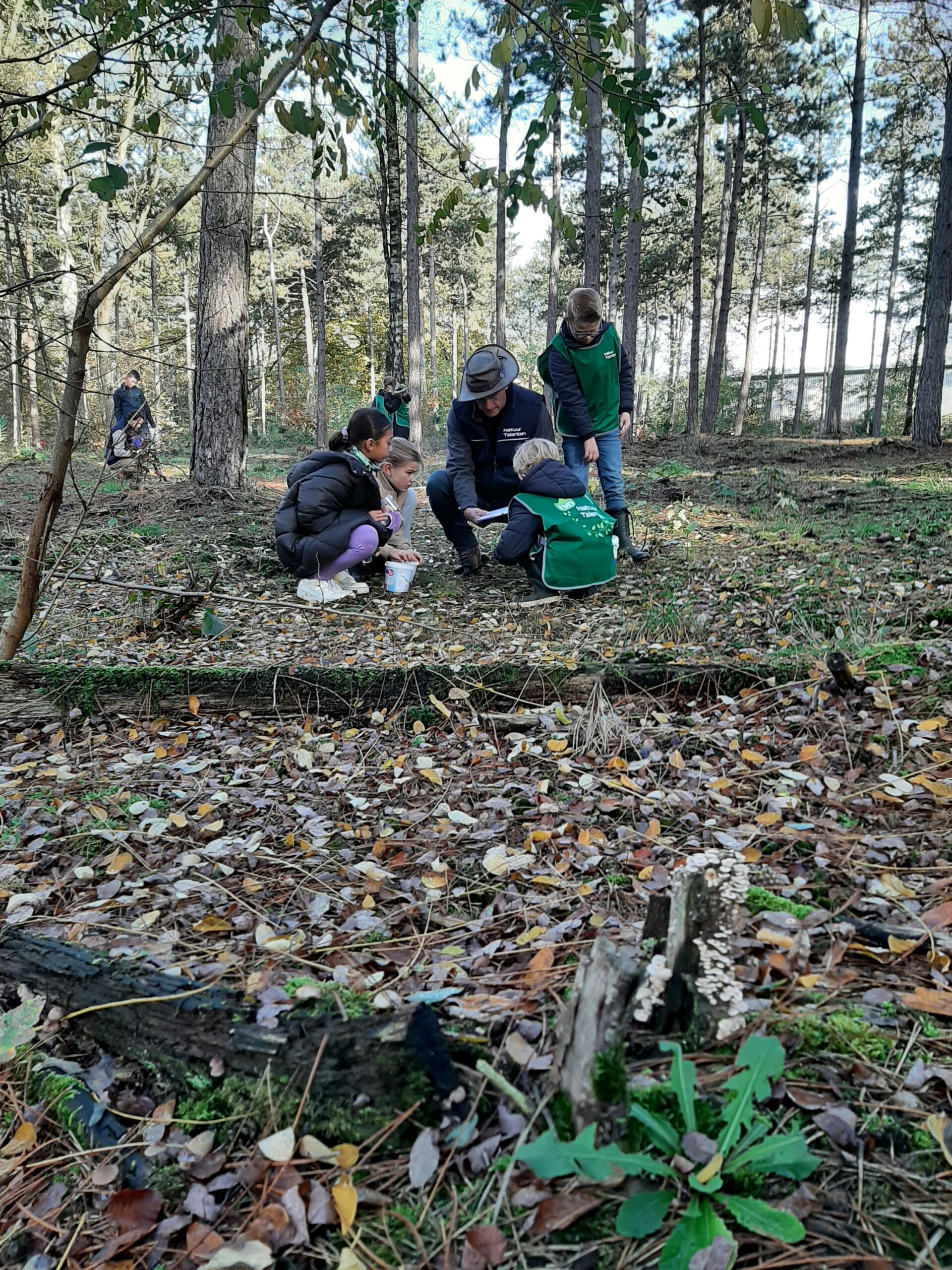 Kinderen verkennen een bos met een volwassene, bladeren en bomen op de achtergrond.