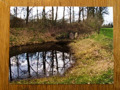 Een vijver met bomen, weerspiegeld in het water, naast een kleine, met gras bedekte heuvel met een deur.