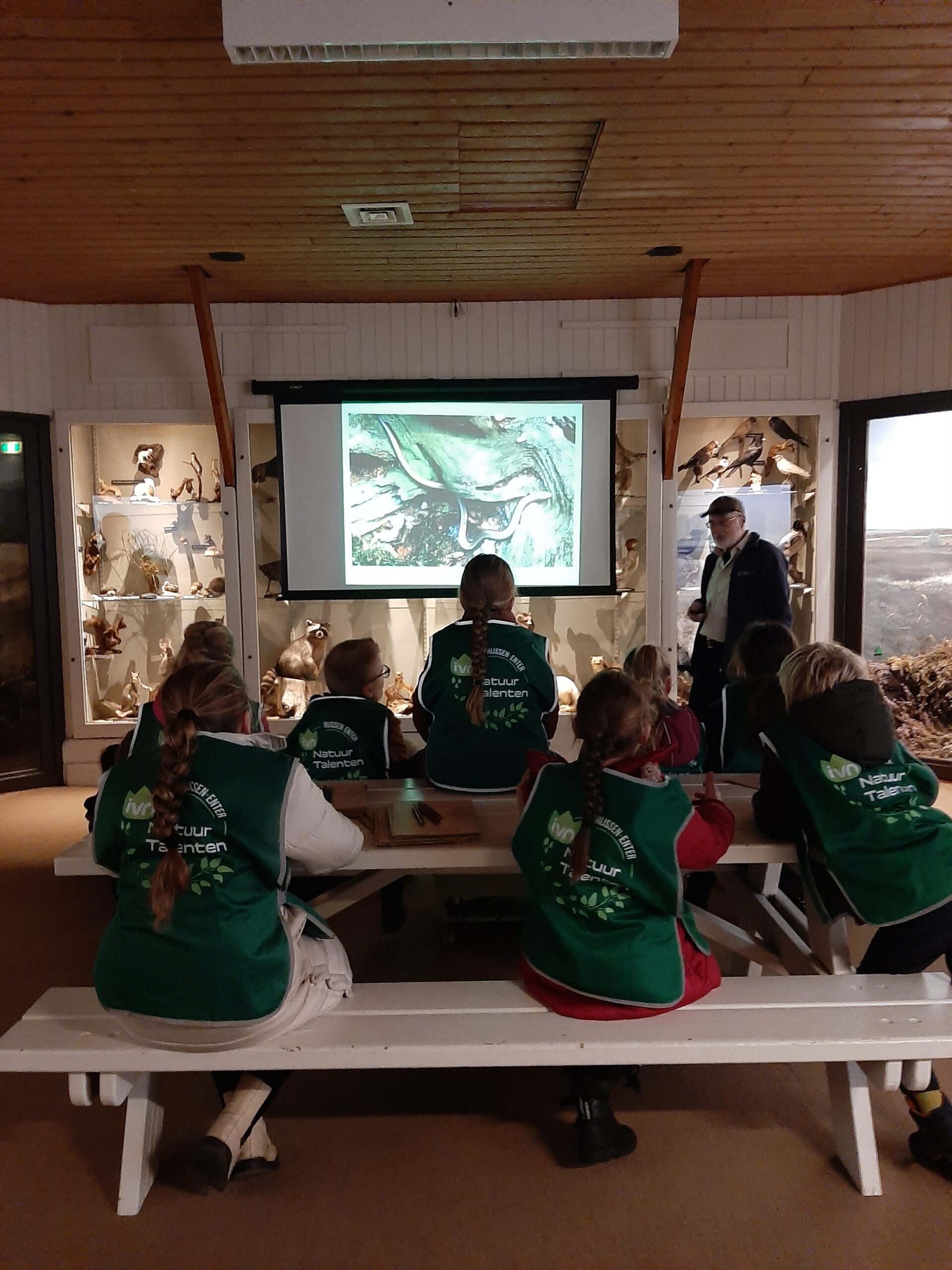 Groep kinderen in groen vest volgt presentatie over natuur in een museumzaal.