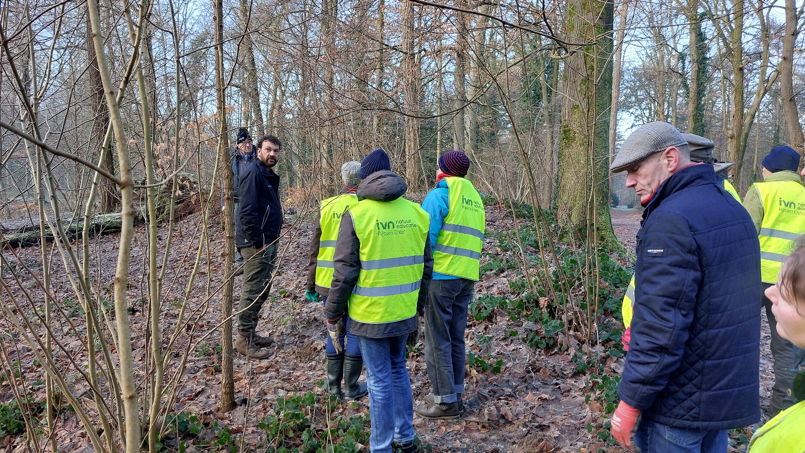 Groep mensen in gele hesjes loopt door een bos voor natuuronderhoud.