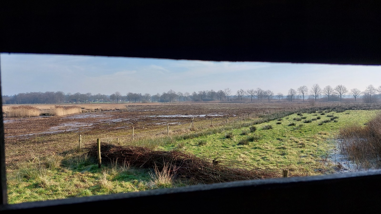 Uitzicht over drassige weilanden met kale bomen aan de horizon, gezien door een smalle opening.