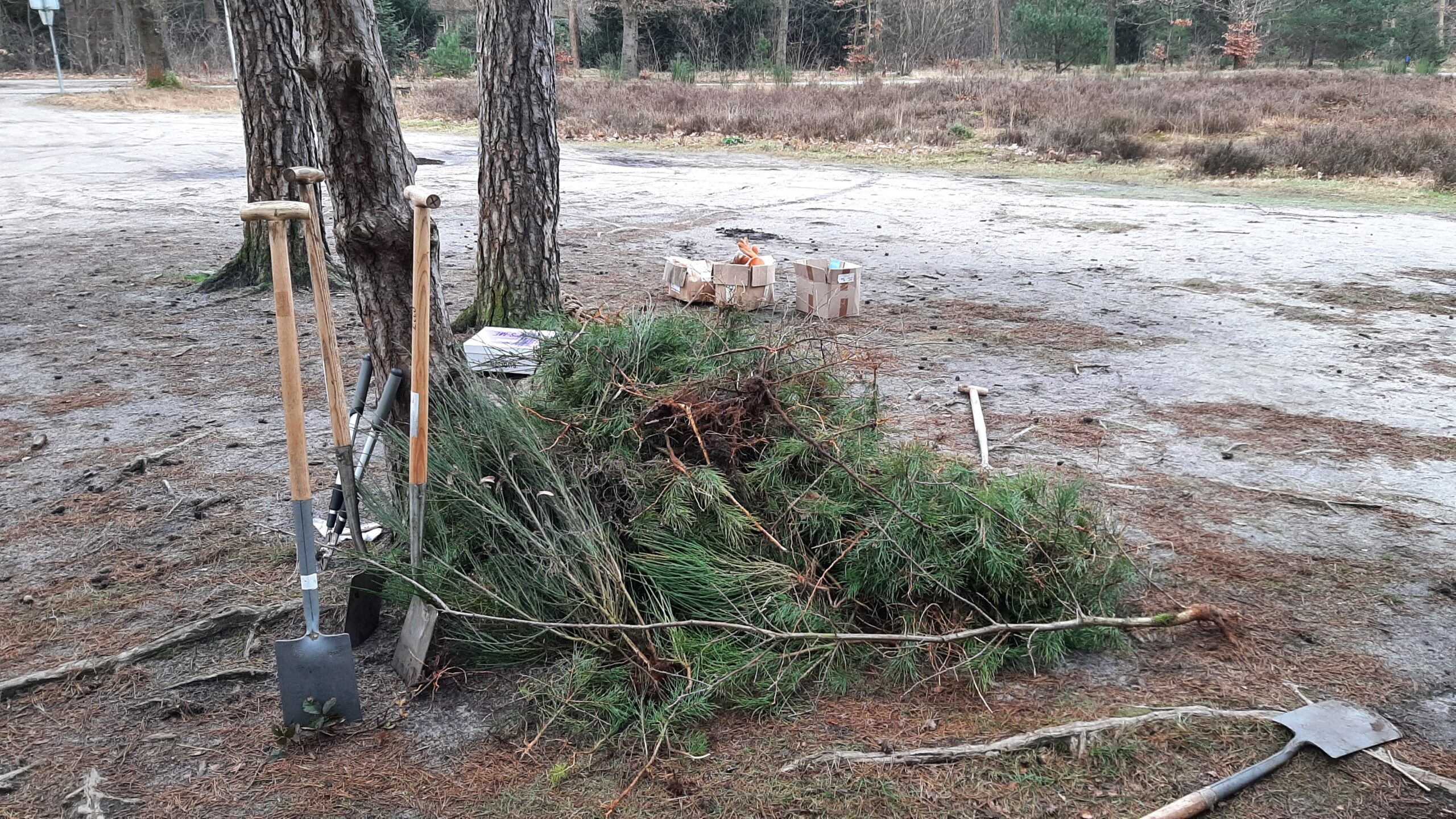 Een stapel takken, schoppen en dozen in een bosrijke omgeving.