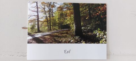 Bosweg met herfstbladeren en zonlicht, naam "Eef" op witte rand.