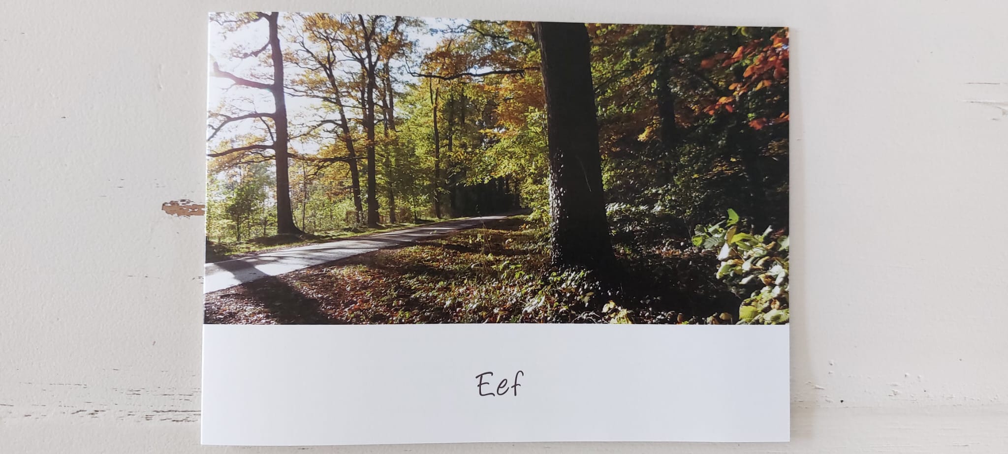 Bosweg met herfstbladeren en zonlicht, naam "Eef" op witte rand.