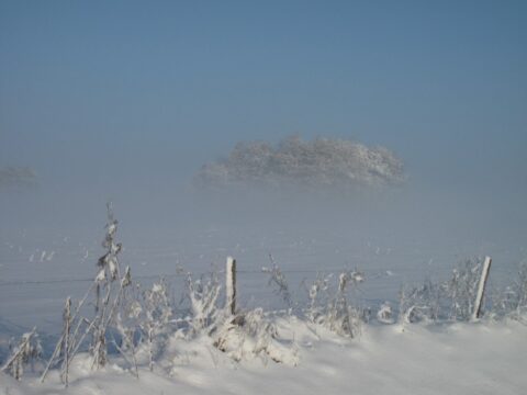 Besneeuwd landschap met ijzige takken, een mistige achtergrond en een heldere blauwe lucht.