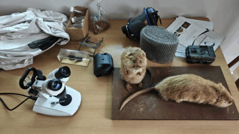 Laboratoriumtafel met opgezette dieren, microscoop en diverse onderzoeksapparatuur.