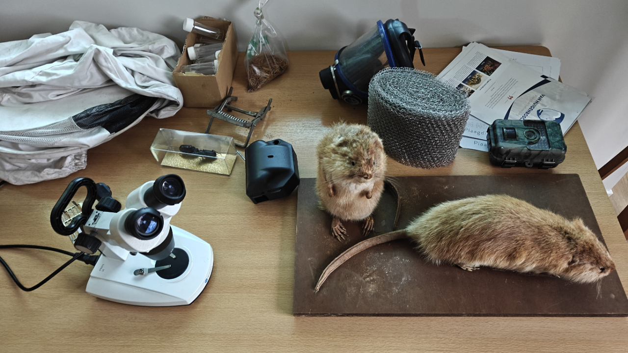 Laboratoriumtafel met opgezette dieren, microscoop en diverse onderzoeksapparatuur.