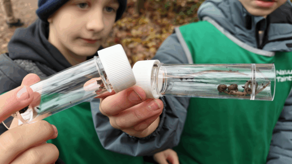 Kinderen houden wormen in doorzichtige buizen vast tijdens een natuuractiviteit in het bos.
