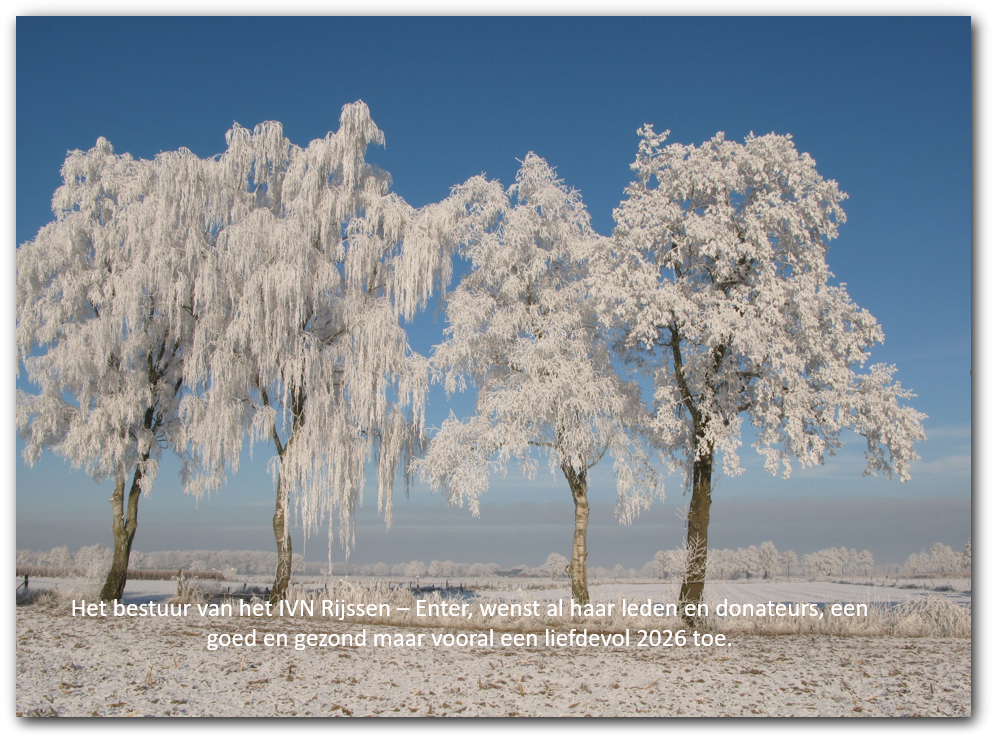 Besneeuwde bomen in een veld tegen een blauwe lucht, met nieuwjaarswens voor 2026 onderaan.