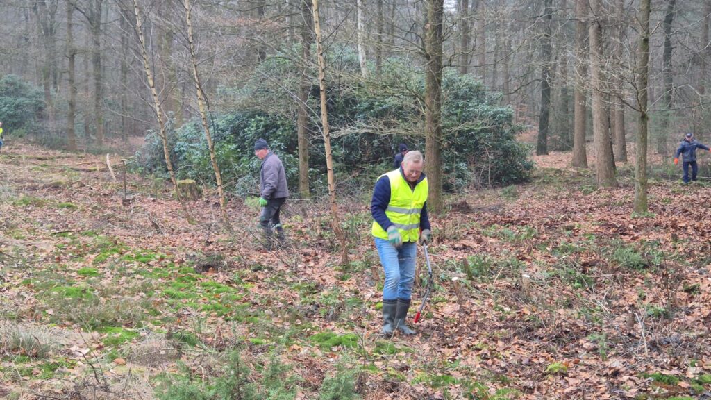 Mensen werken met gereedschap in een bos, gehuld in herfstbladeren en mos.