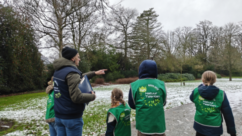Mensen in groene hesjes observeren een winterpark met een gids die wijst.