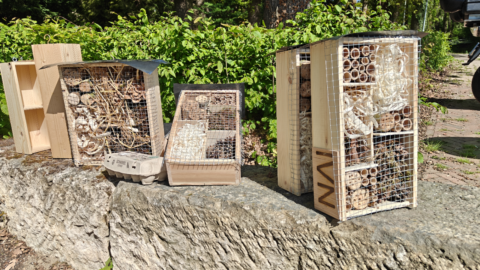 Vier insectenhotels van hout en gaas, gevuld met natuurlijke materialen, staan op een stenen muur.