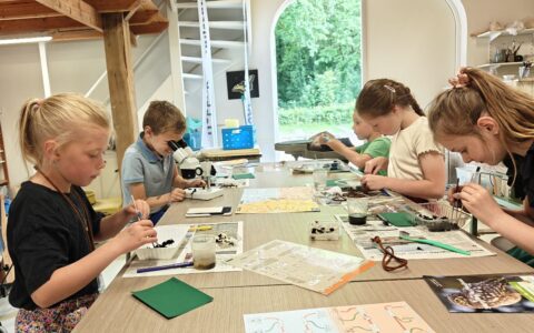 Kinderen voeren een natuuronderzoek uit aan een tafel in een klaslokaal met groene omgeving.