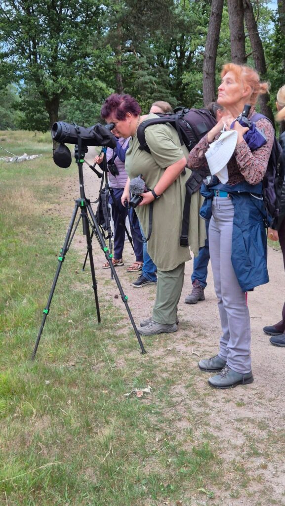 Vogelaars in een bos met verrekijkers en camera's op een statief.