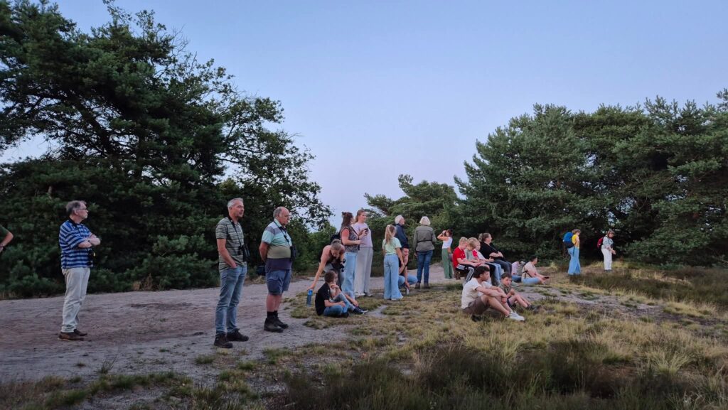 Groep mensen observeert natuur bij schemering, omringd door bomen en open veld.