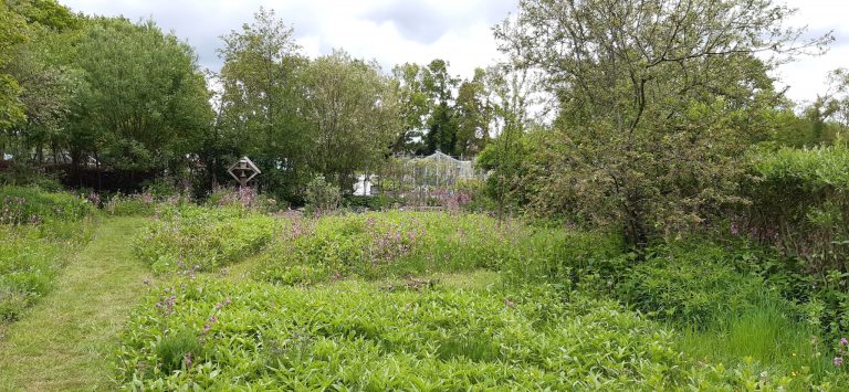 Vlindertuin Roden