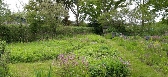 Vlindertuin Roden