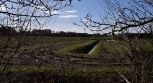 Landschap Veenhuizen